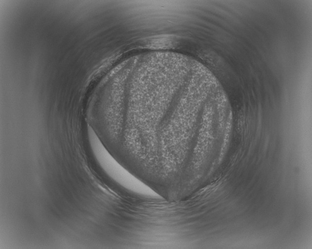 X0000054380303200508270014