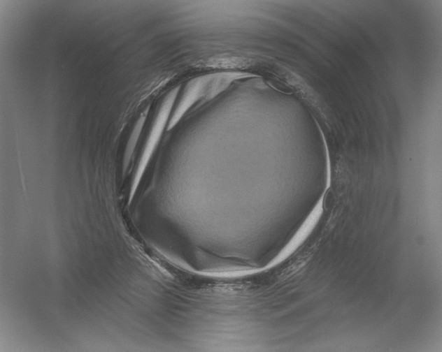 X0000054380305200508270014