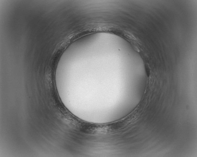 X0000054380306200508270014