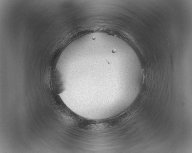 X0000054380307200508270014