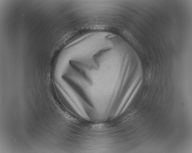 X0000054380309200508270014