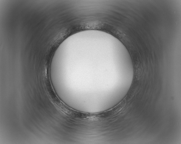 X0000054380310200508270014