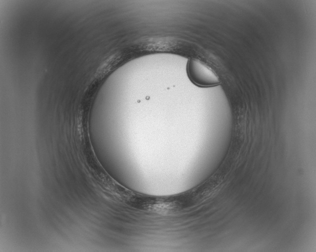 X0000054380312200508270014