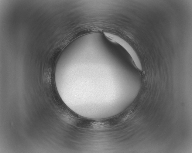 X0000054380315200508270014