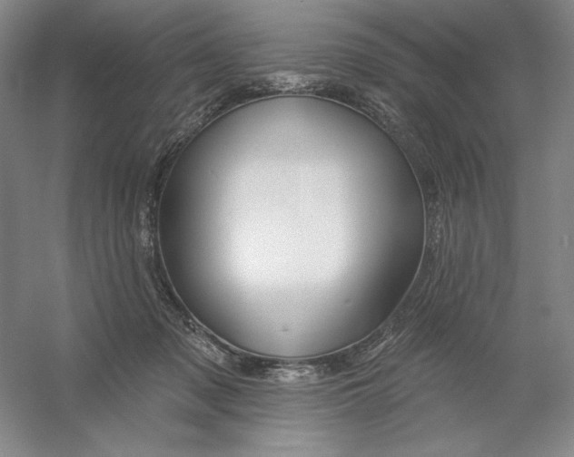 X0000054380317200508270014