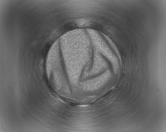 X0000054380319200508270014