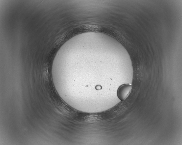 X0000054380320200508270014