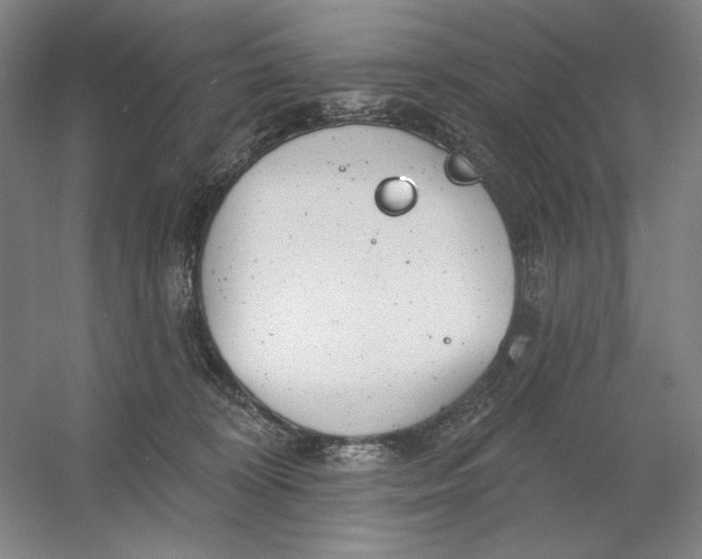 X0000054380324200508270014