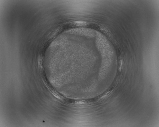 X0000054380325200508270014