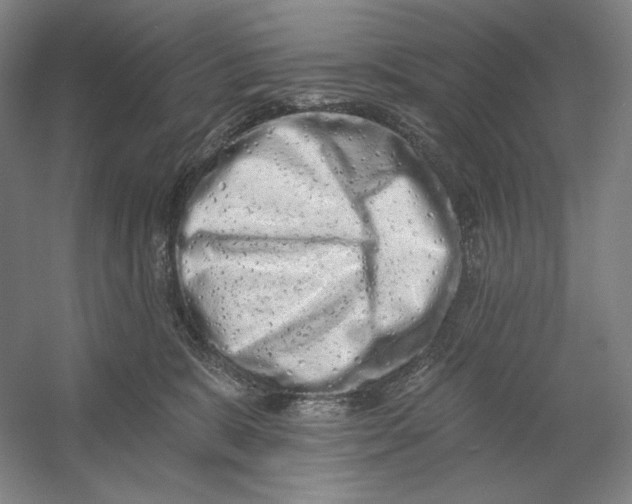 X0000054380327200508270014