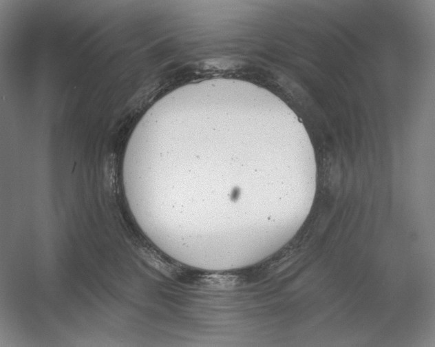 X0000054380328200508270014