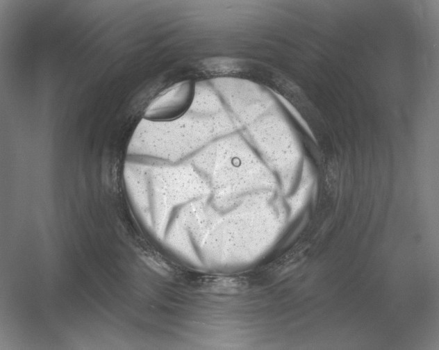 X0000054380330200508270014