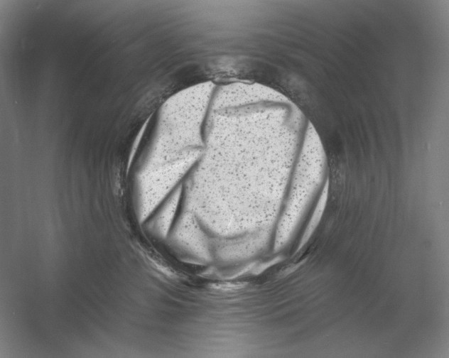 X0000054380331200508270014