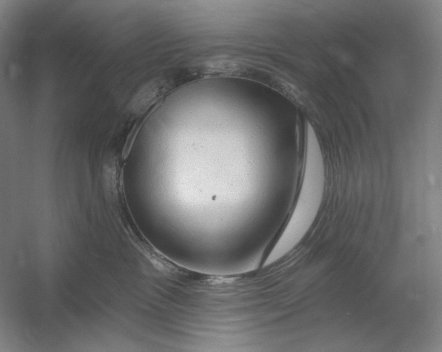 X0000054380333200508270014