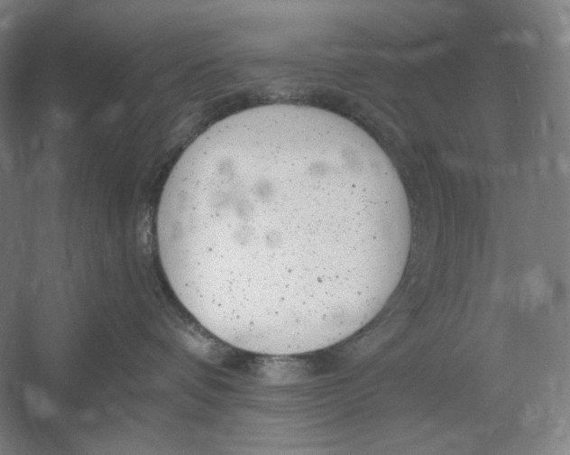 X0000054380336200508270014