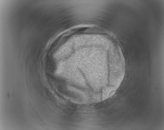 X0000054380337200508270013