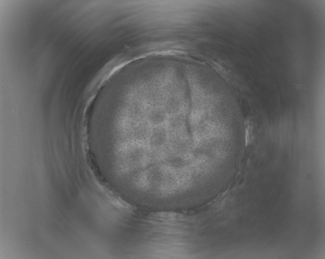 X0000054380339200508270013