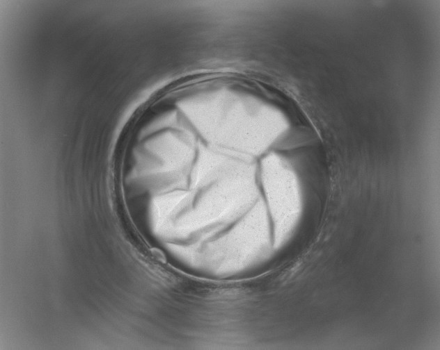 X0000054380342200508270013