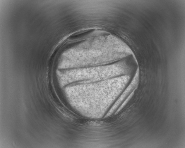 X0000054380346200508270013