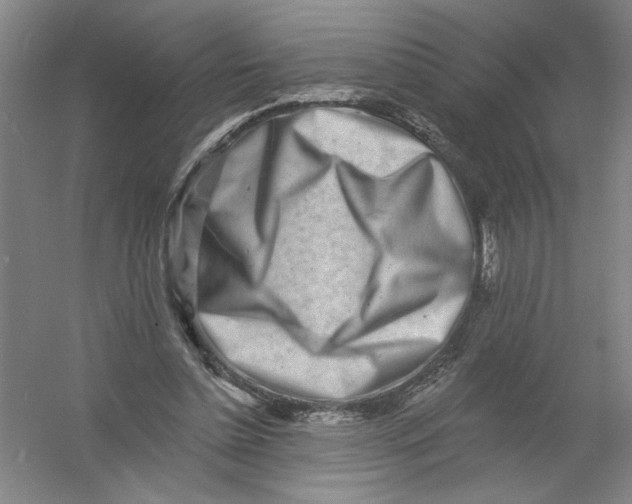 X0000054380348200508270013