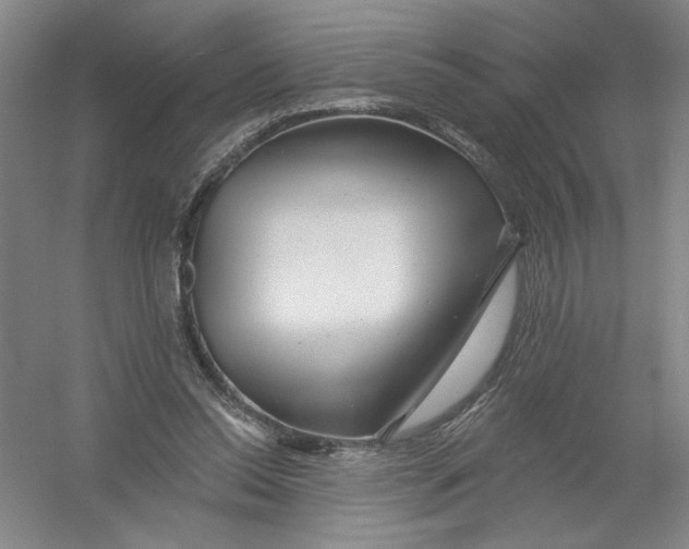 X0000054380350200508270013