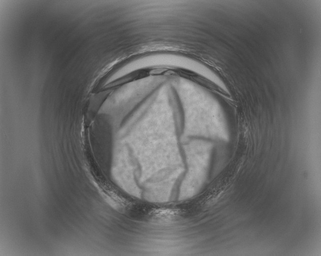 X0000054380352200508270013