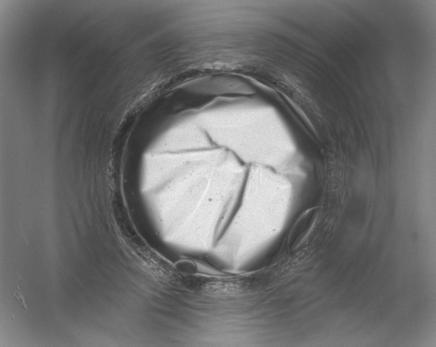 X0000054380354200508270013