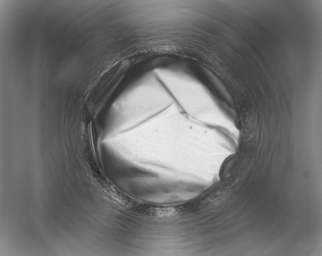 X0000054380355200508270013