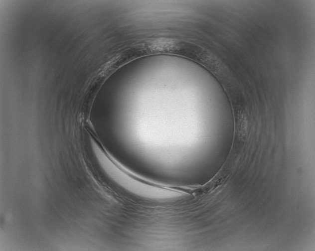 X0000054380356200508270013