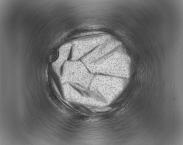 X0000054380358200508270013