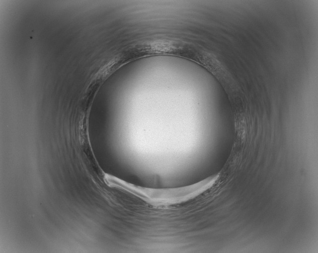 X0000054380360200508270013