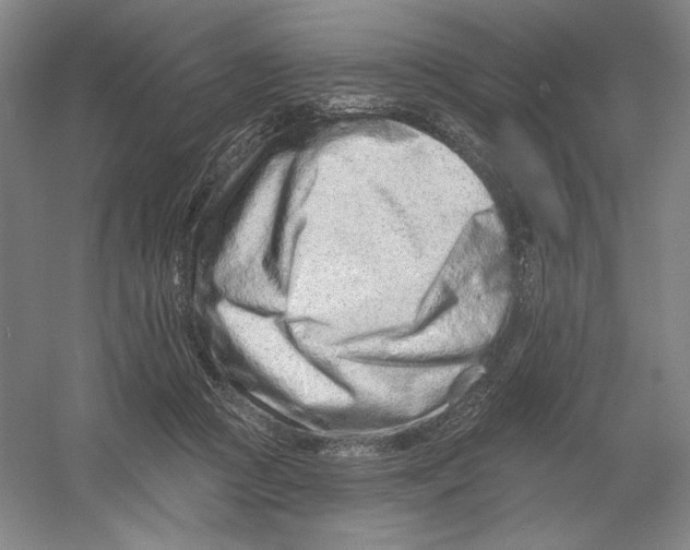 X0000054380361200508270013