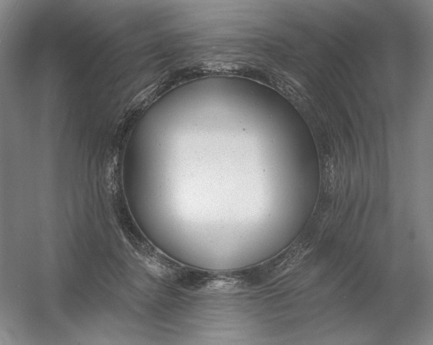 X0000054380364200508270013