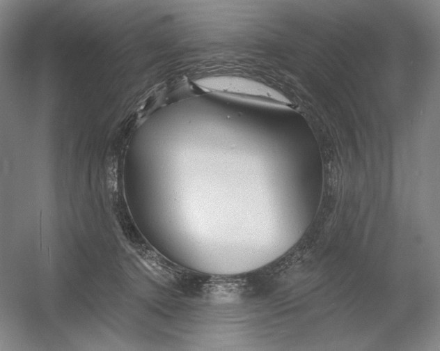 X0000054380368200508270014