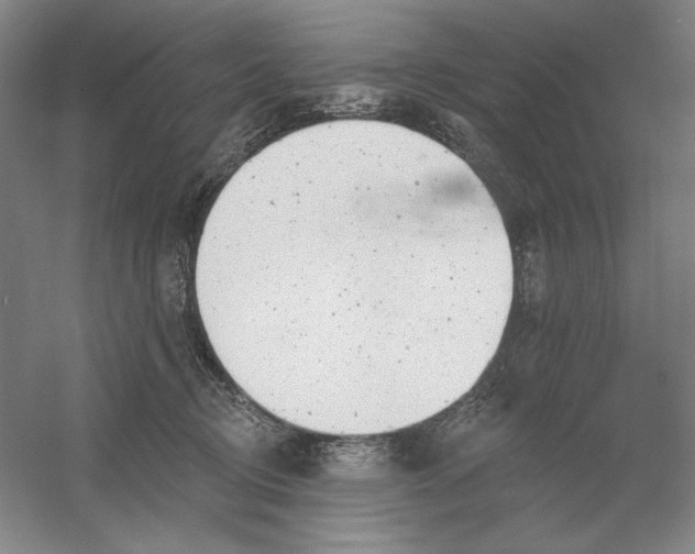 X0000054380370200508270014