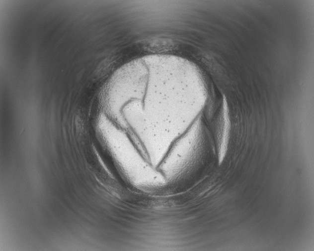 X0000054380371200508270014