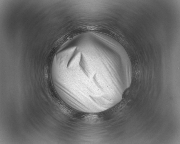 X0000054380374200508270014