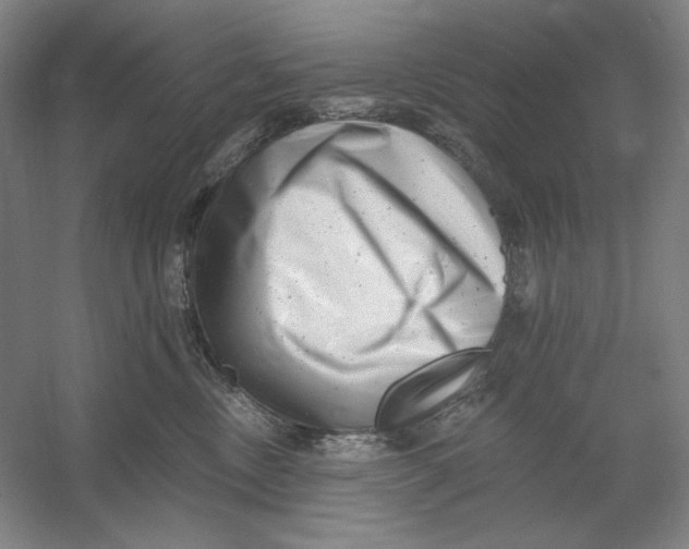 X0000054380378200508270014