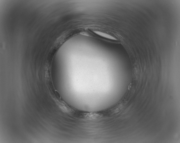 X0000054380379200508270014