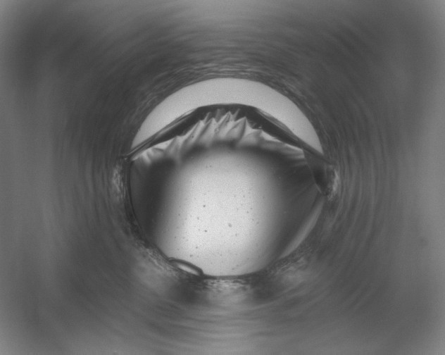 X0000054380380200508270014