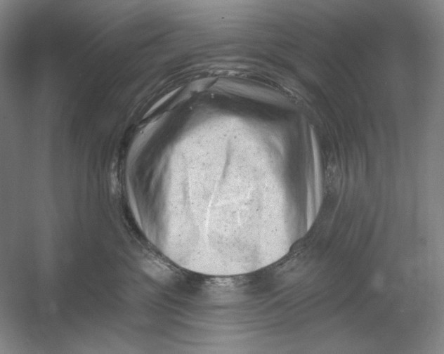 X0000054380381200508270014