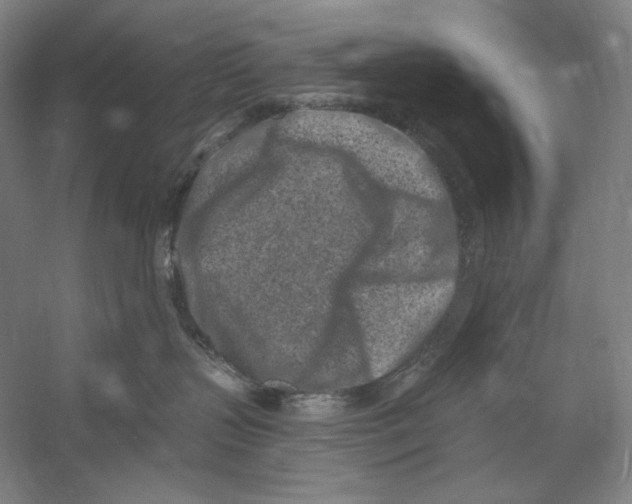 X0000054380383200508270014