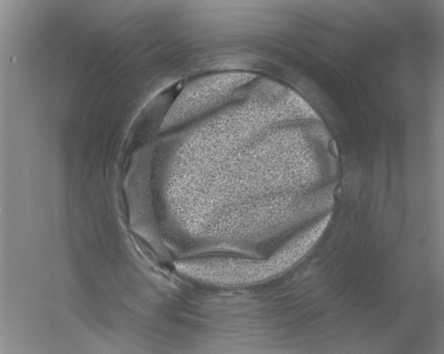 X0000054380386200508270013