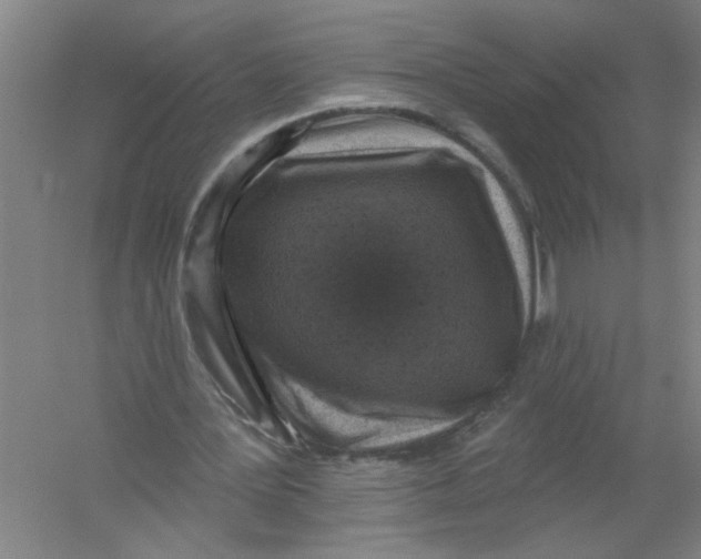 X0000054380387200508270013