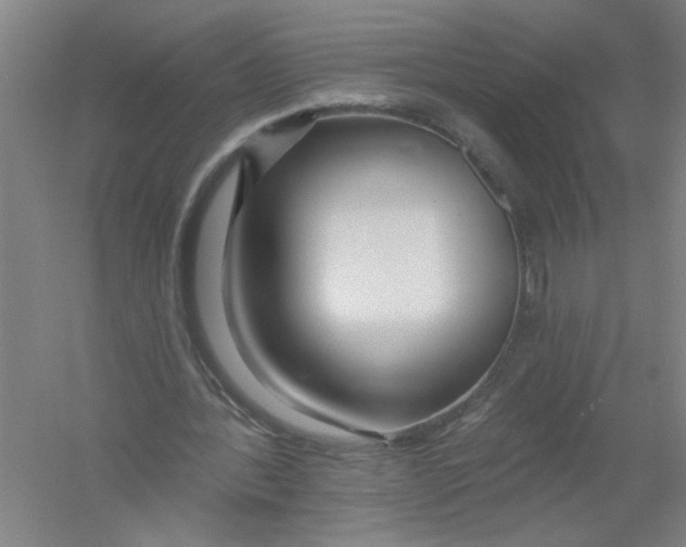 X0000054380388200508270013