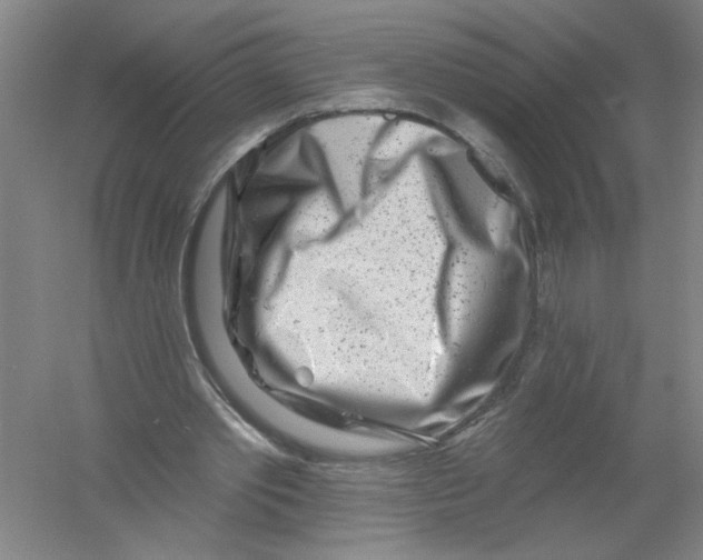 X0000054380389200508270013