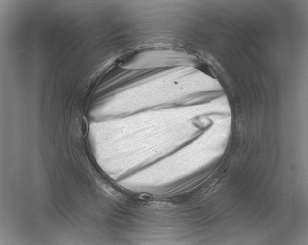 X0000054380393200508270013