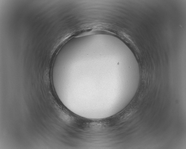 X0000054380394200508270013