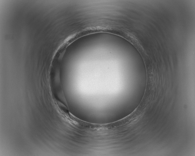 X0000054380395200508270013