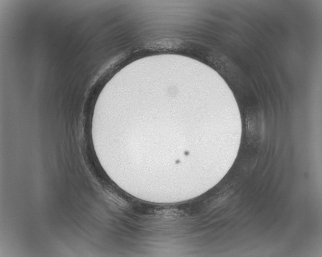 X0000054380396200508270013